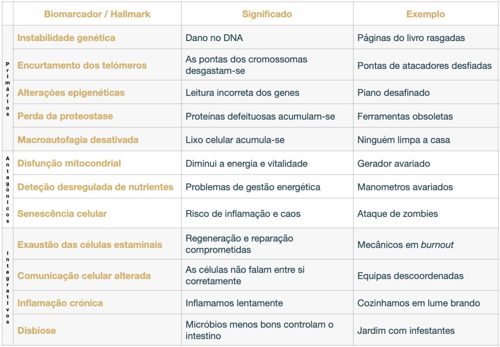 Tabela dos biomarcadores e o seu significado